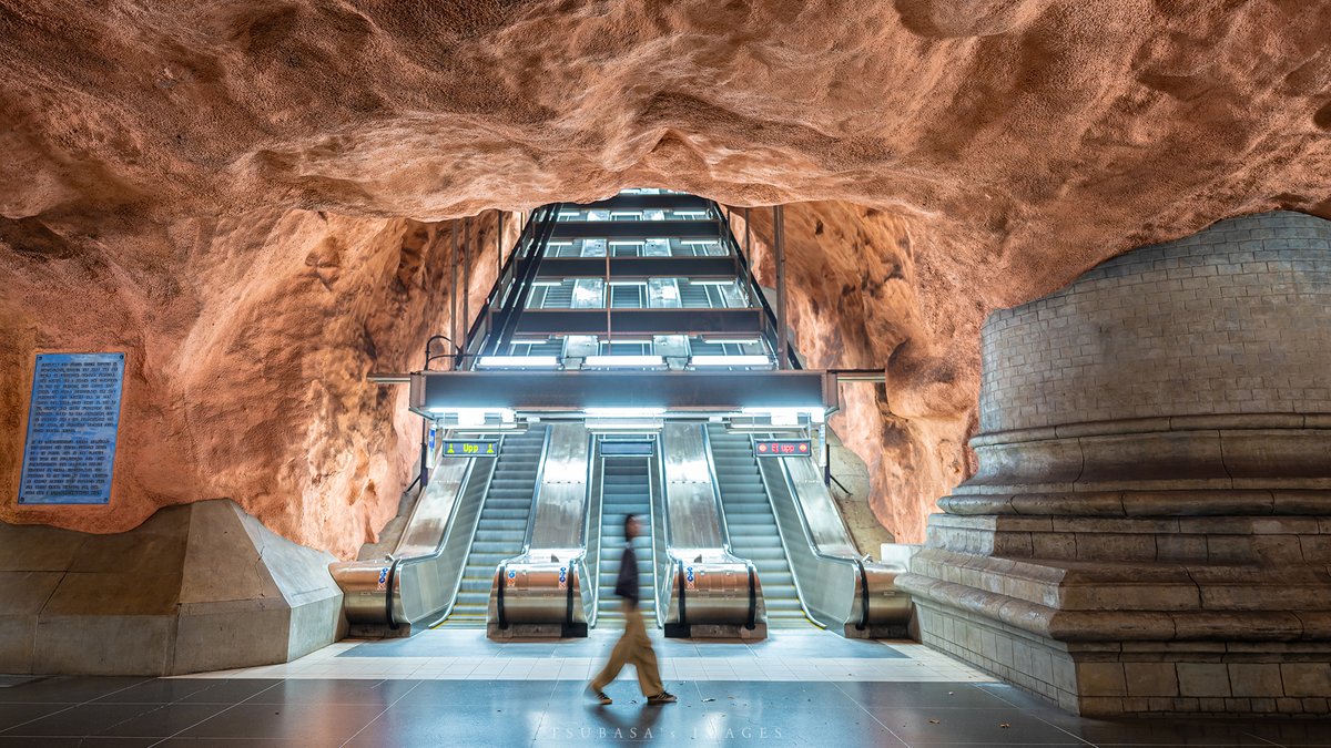 F. P. Cheng tweet media