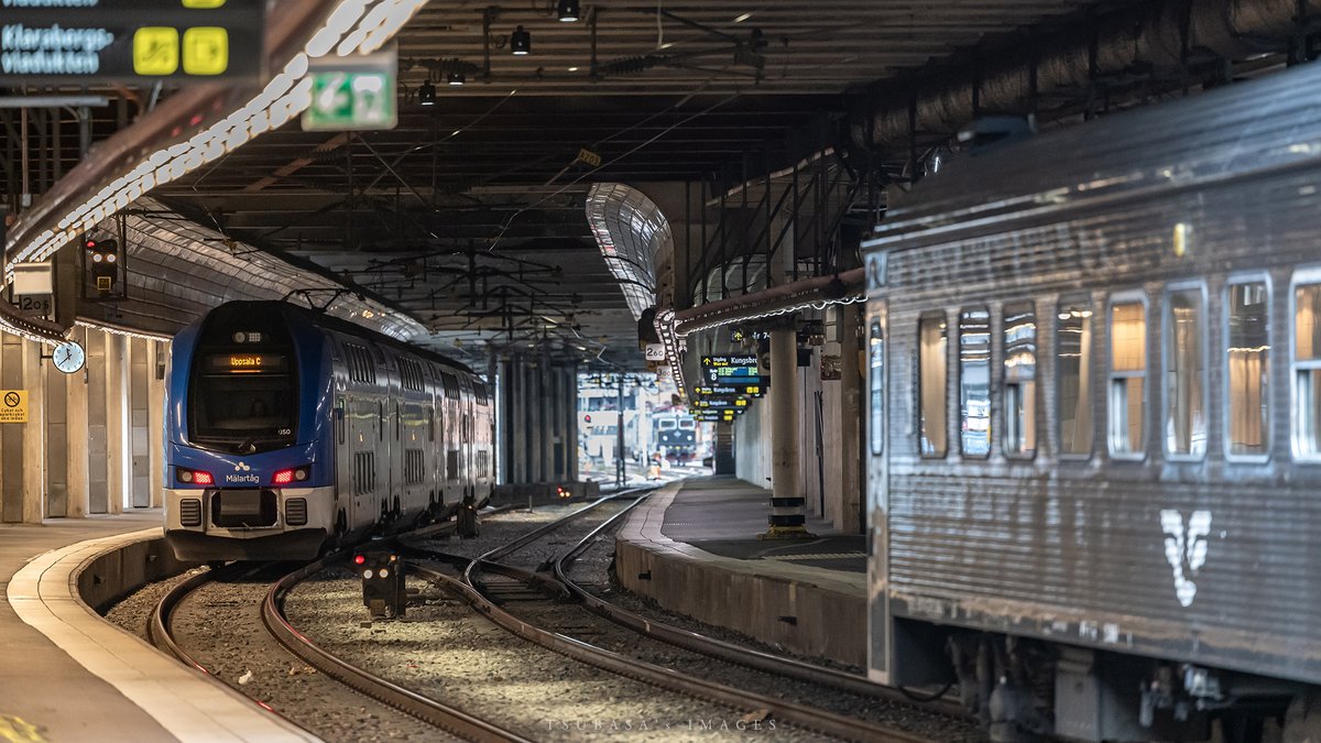 F. P. Cheng tweet media