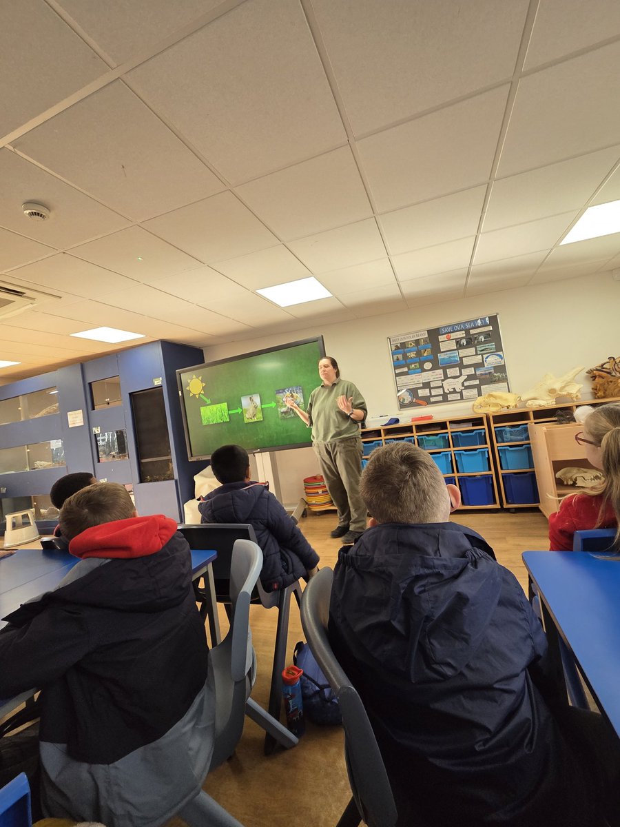 Brinsworth Manor Infant/Junior School tweet media