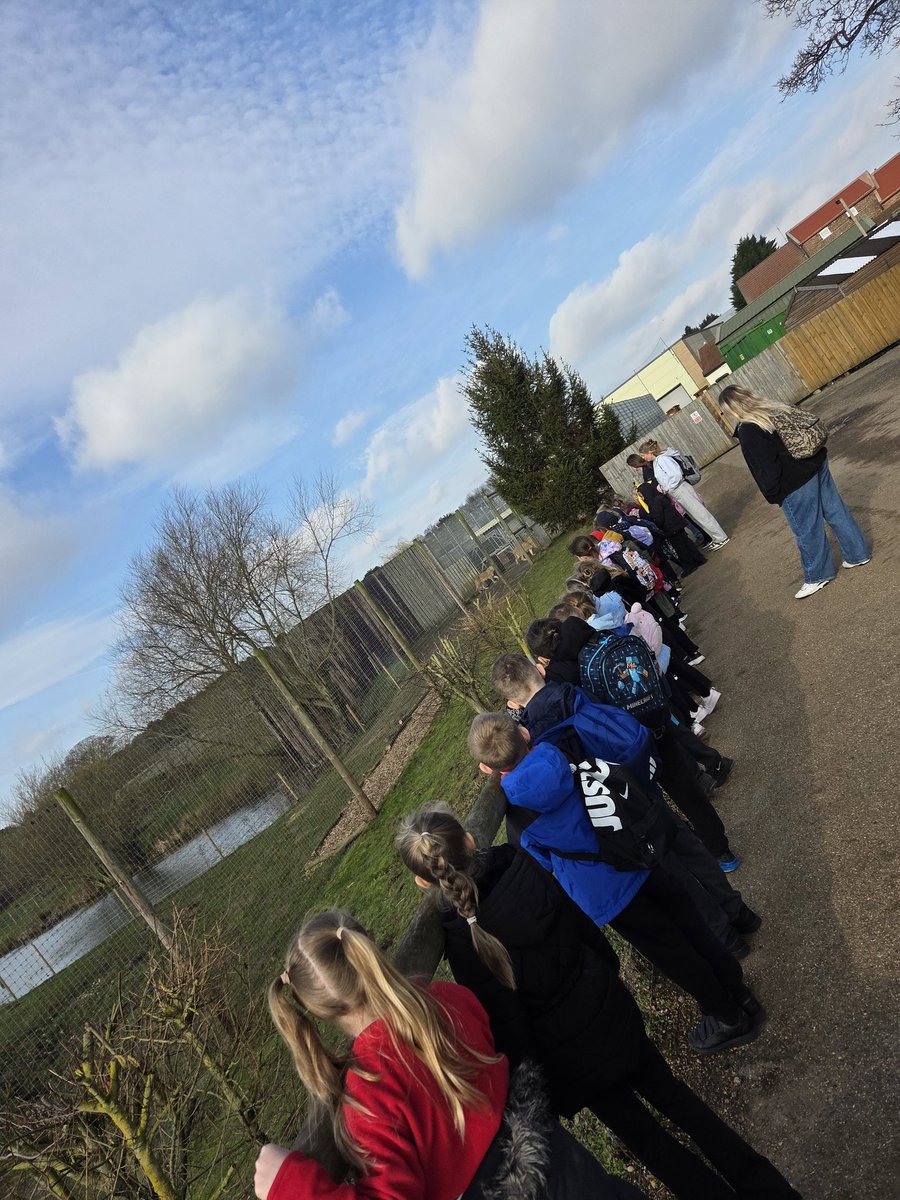 Brinsworth Manor Infant/Junior School tweet media