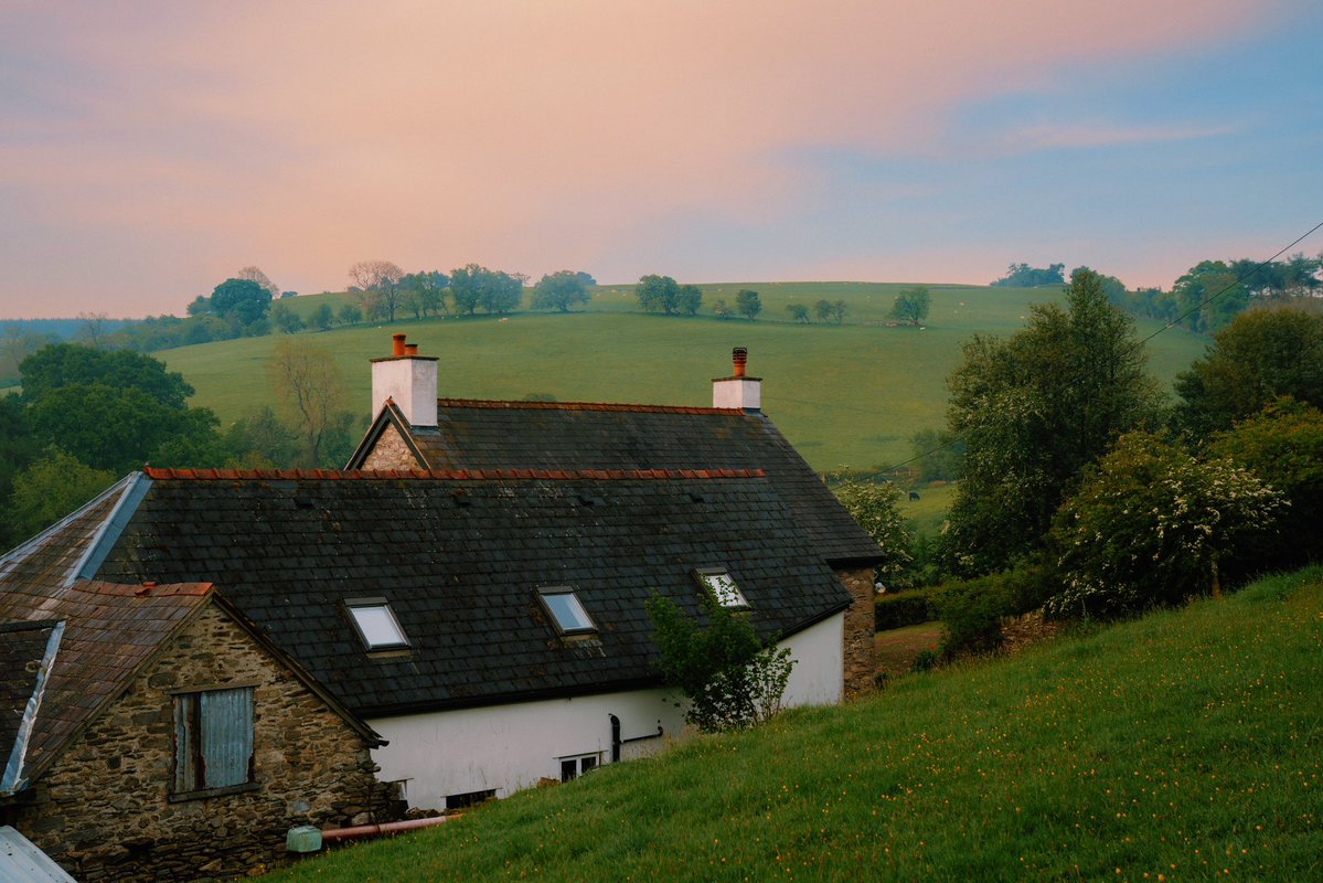 𝘄𝗮𝗻𝗱𝗲𝗿𝘁𝗿𝗮𝘃𝗲𝗹𝘀 tweet media