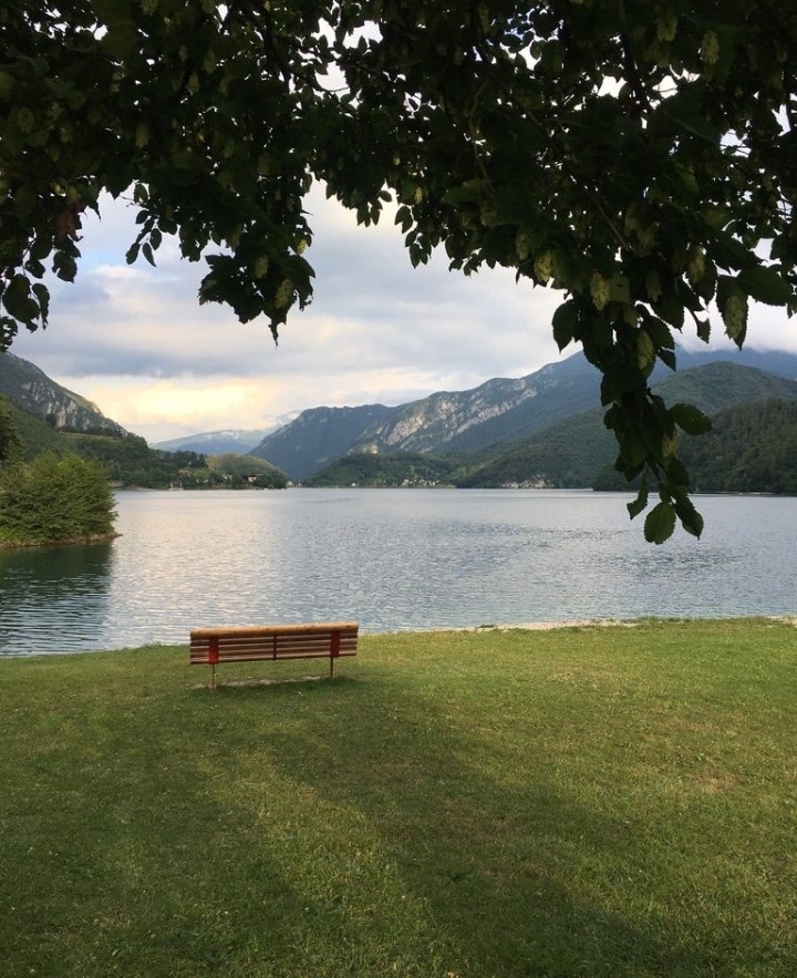 Shayan.base.eth tweet media