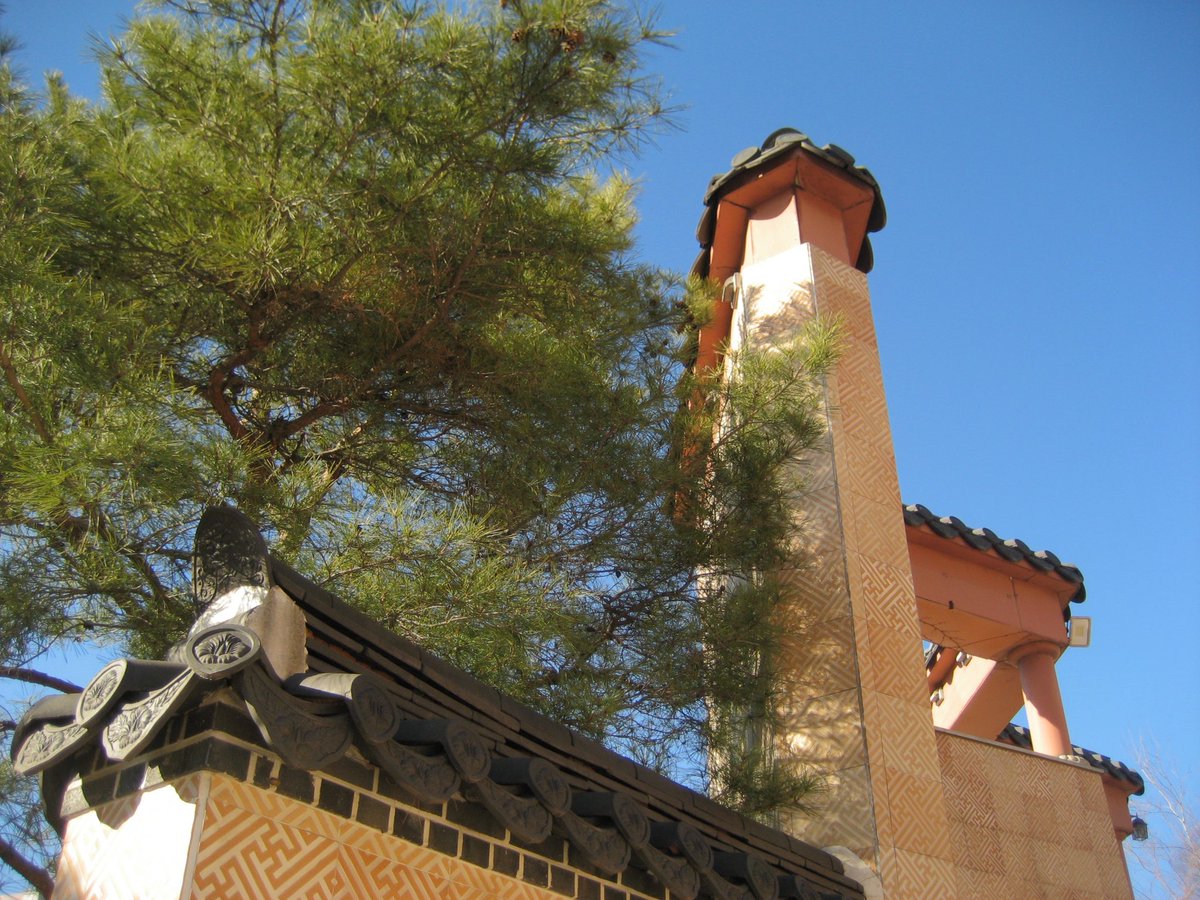 95is 화밸 흐림이 60 흐림보다 좀 더 노란빛인 것 같다!! 난 위에껀 95가 맘에들고 밑에건 60..

95is                                       60