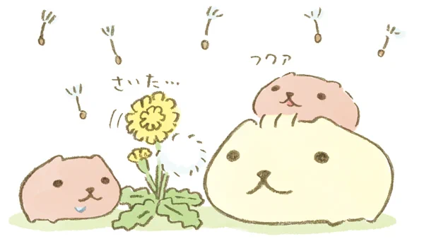 カピバラさん【公式】 on X: 