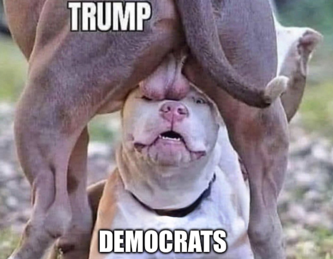 Everyone: Describe the SOTU using only a meme?

Me: