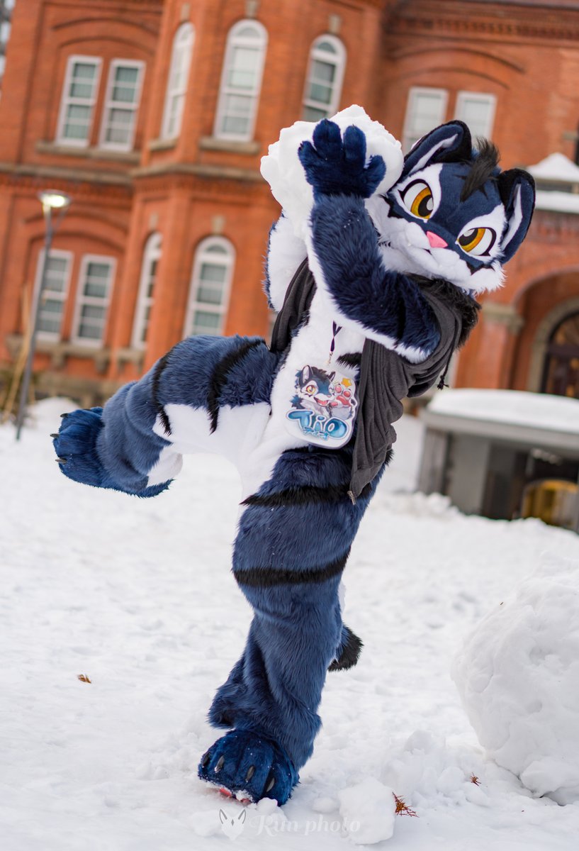 るん (Run) (@run_charizard) / Posts / X