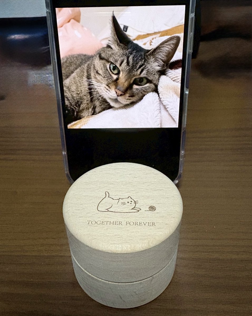 はなちゃんが虹の橋を渡りました。 最後は苦しまず天国へ行けました