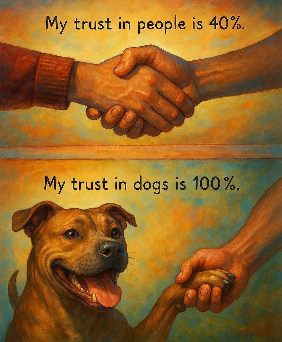 𝕏 Dogs tweet media