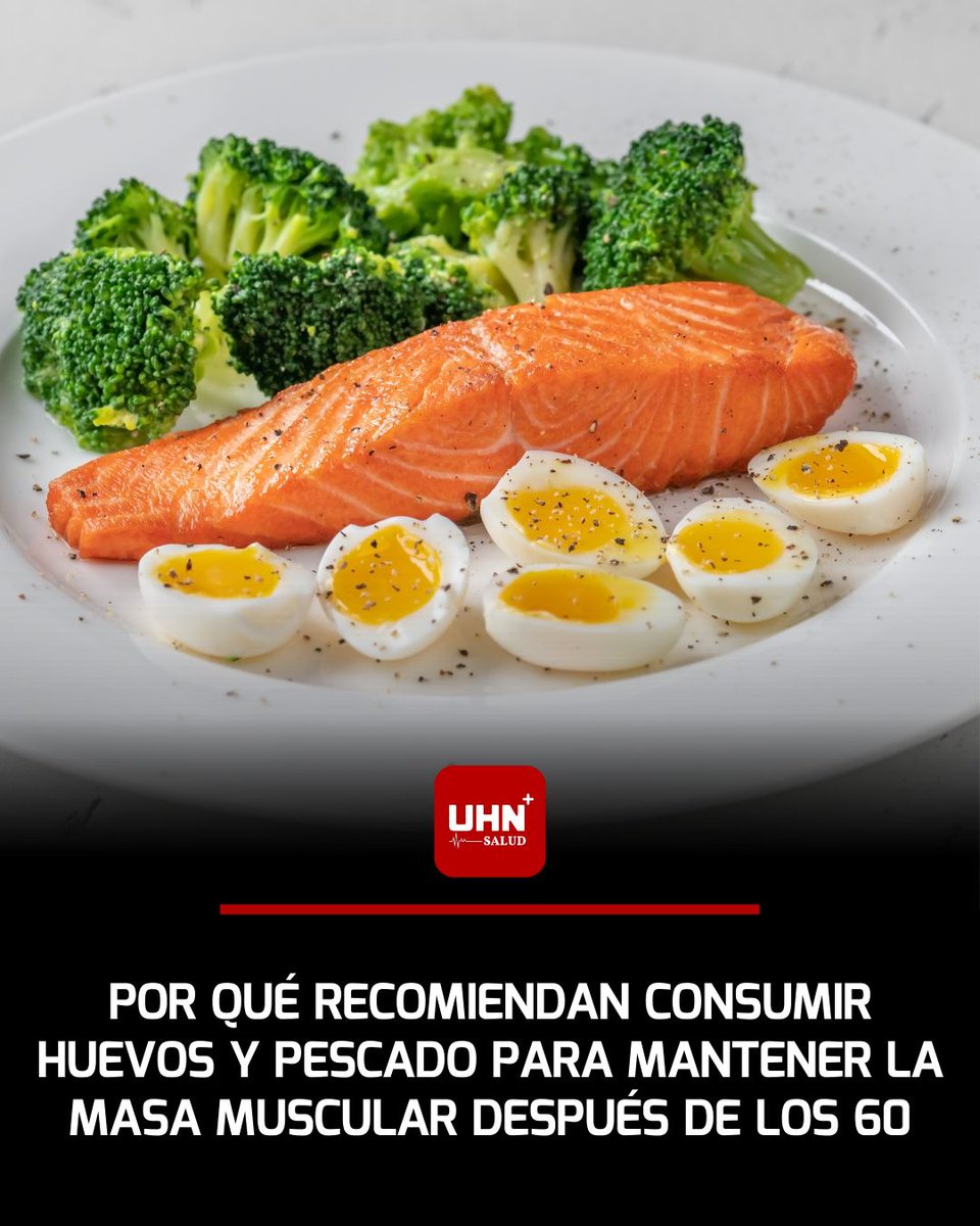 🩺‼️ | A partir de los 60 años, la pérdida progresiva de masa muscular (sarcopenia) puede afectar la fuerza, el equilibrio y la autonomía. Por eso, especialistas recomiendan priorizar proteínas de alta calidad como las del huevo y el pescado.

El huevo aporta proteínas completas