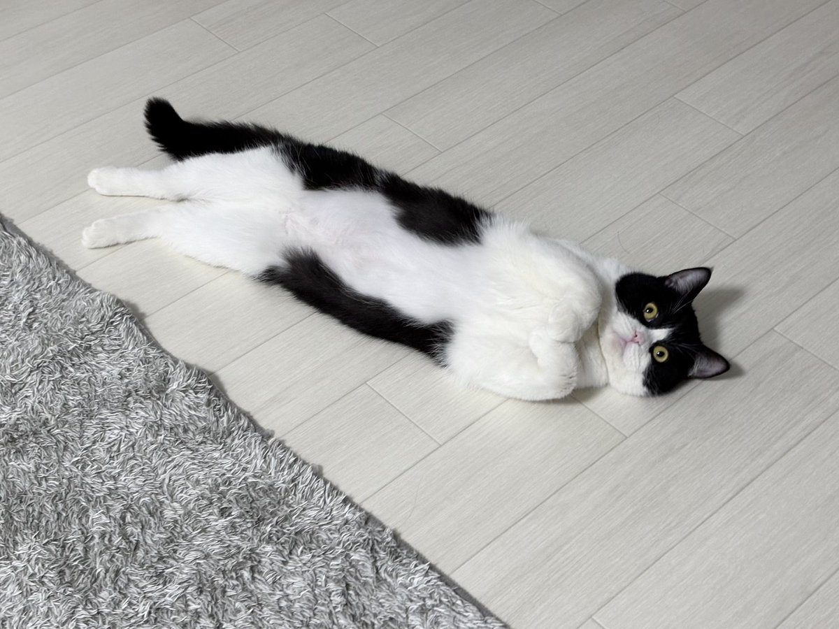 ねむちゃん (@nemuran616) on X