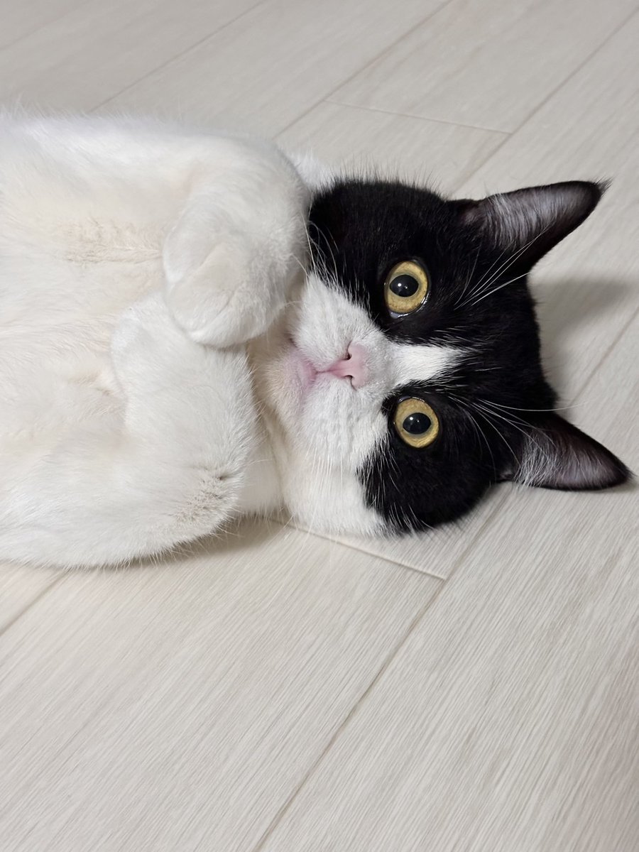 ねむちゃん (@nemuran616) on X