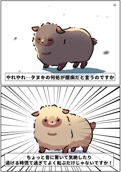 ちょっと世間の認識に対して言いたい事があるタヌキのたれみみ 