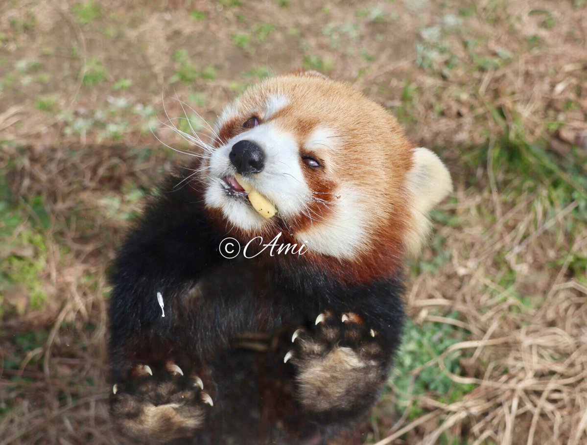 あみ (@amiami594) / Posts / X