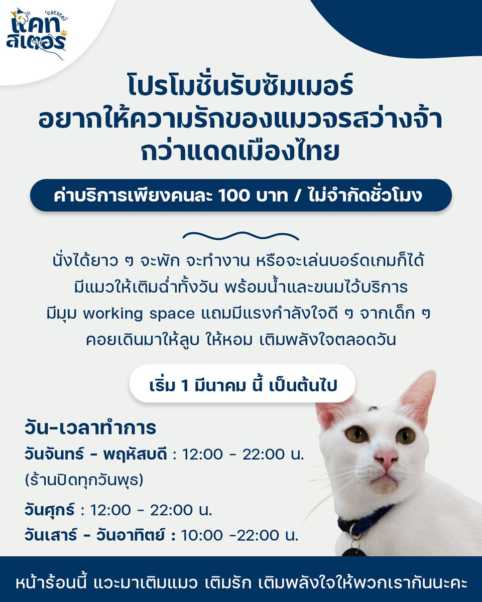 รับซัมเมอร์นี้ ☀️ ปรับค่าบริการใหม่ 100 บาท

และเปลี่ยนเวลาเปิด–ปิดทำการ ดังนี้
🕛วัน–เวลาทำการ🕙
วันจันทร์ – พฤหัสบดี 12:00 – 22:00 น.(ปิดทุกวันพุธ)
วันศุกร์ 12:00 – 22:00 น.
วันเสาร์ – อาทิตย์ 10:00 – 22:00 น.

เริ่ม 1 มีนาคม เป็นต้นไป

แวะมาเติมแมว เติมรัก เติมพลังใจกันนะคะ ❤️