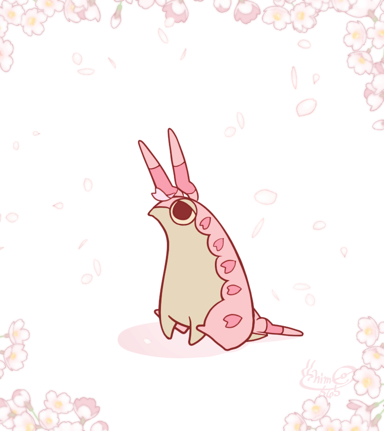 さくらちぃちゃん🌸
#ちぃドラー