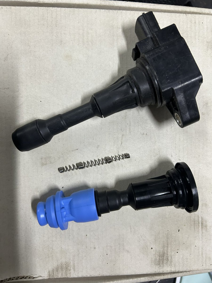 らいおん@Palm Crew tweet media