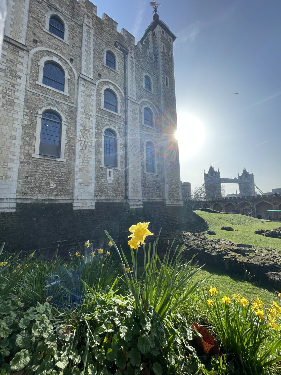 The Tower of London tweet media