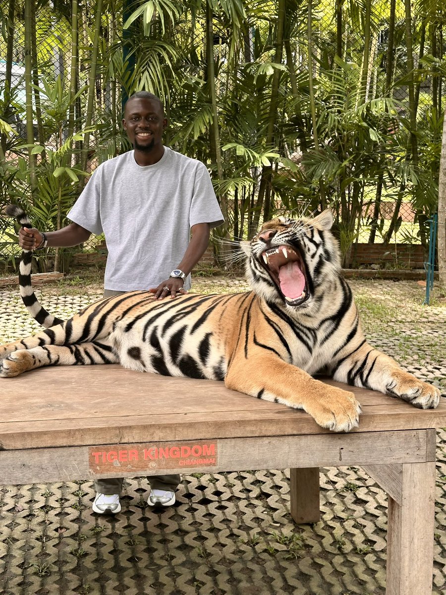 0x Numbers 🔢📊 tweet media