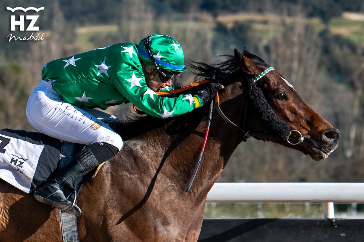 Hipódromo de La Zarzuela tweet media