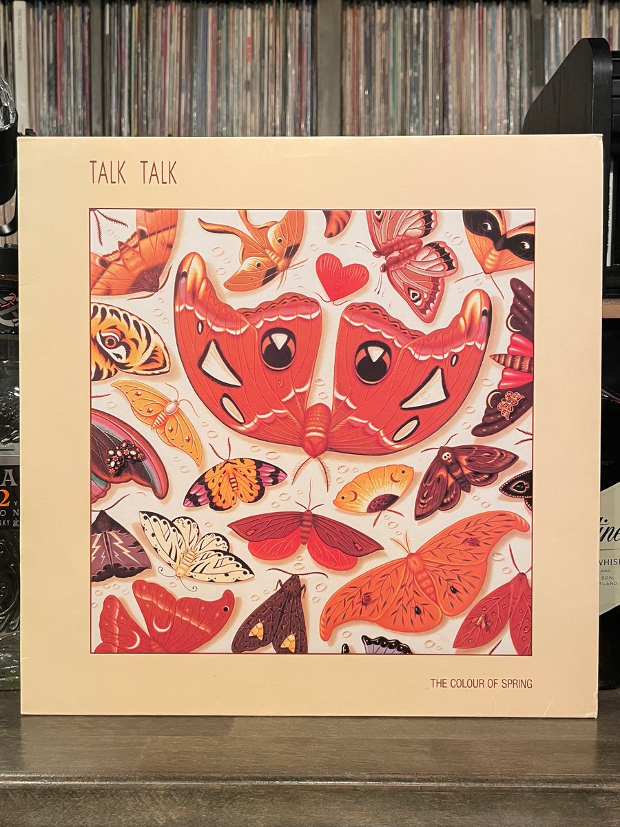 MILEHIGHCLUB202's tweet photo. ほなLPいこか
TALK TALK / THE COLOUR OF SPRING [’86 EMI --- EMC 3506]
#markhollis #talktalk #theColourOfSpring #TimFrieseGreene #listeningbar #vinylbar #musicbar #レコードバー #mhc25022026
https://t.co/wc2f2ZkZt4 https://t.co/409rzdKivJ