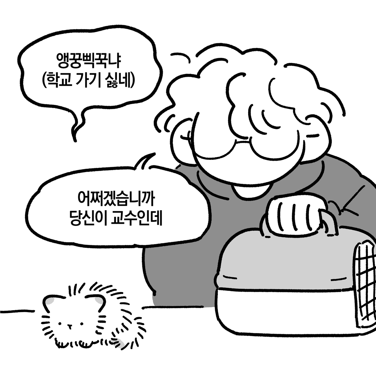 교수도 개강은 싫다네