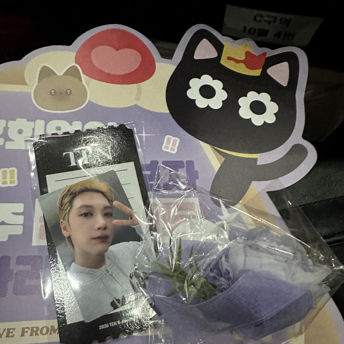 민들레영토 tweet media