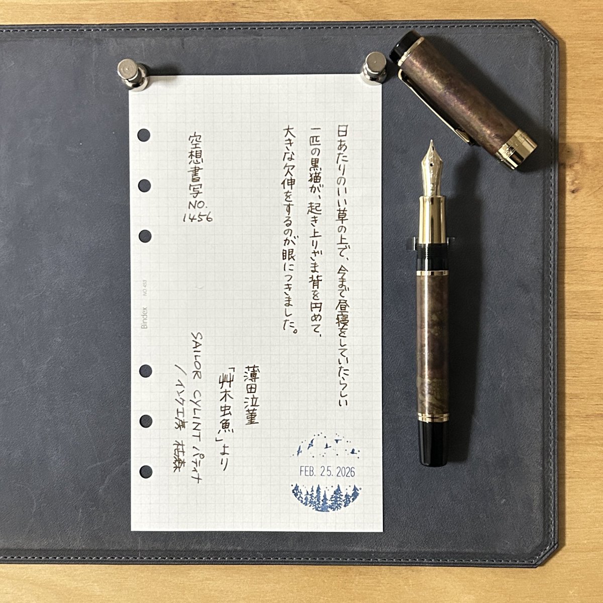 ひなたぼっこしてお昼寝したい…

お題ありがとうございます
#空想書写