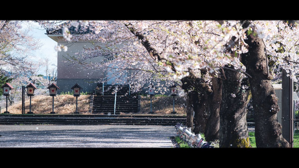 ooote_photo's tweet photo. 春を待つ https://t.co/jkeQRhqksT