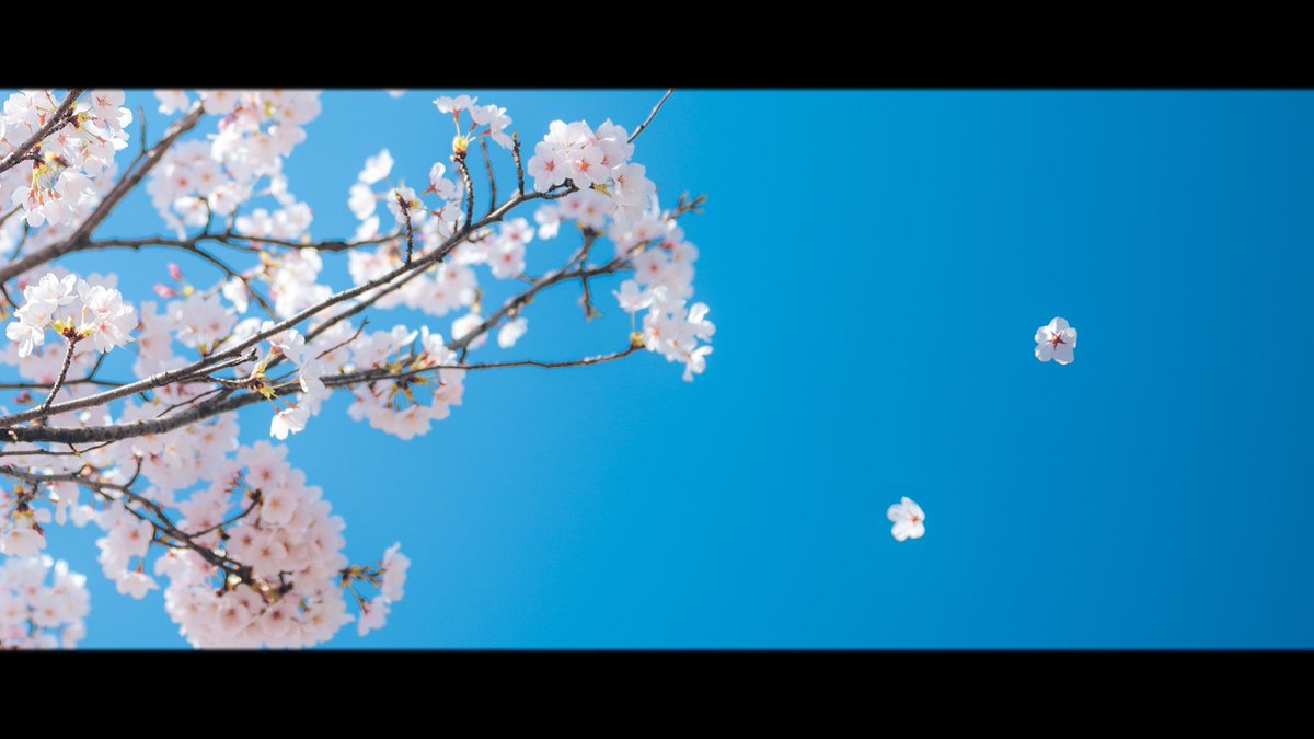 ooote_photo's tweet photo. 春を待つ https://t.co/jkeQRhqksT