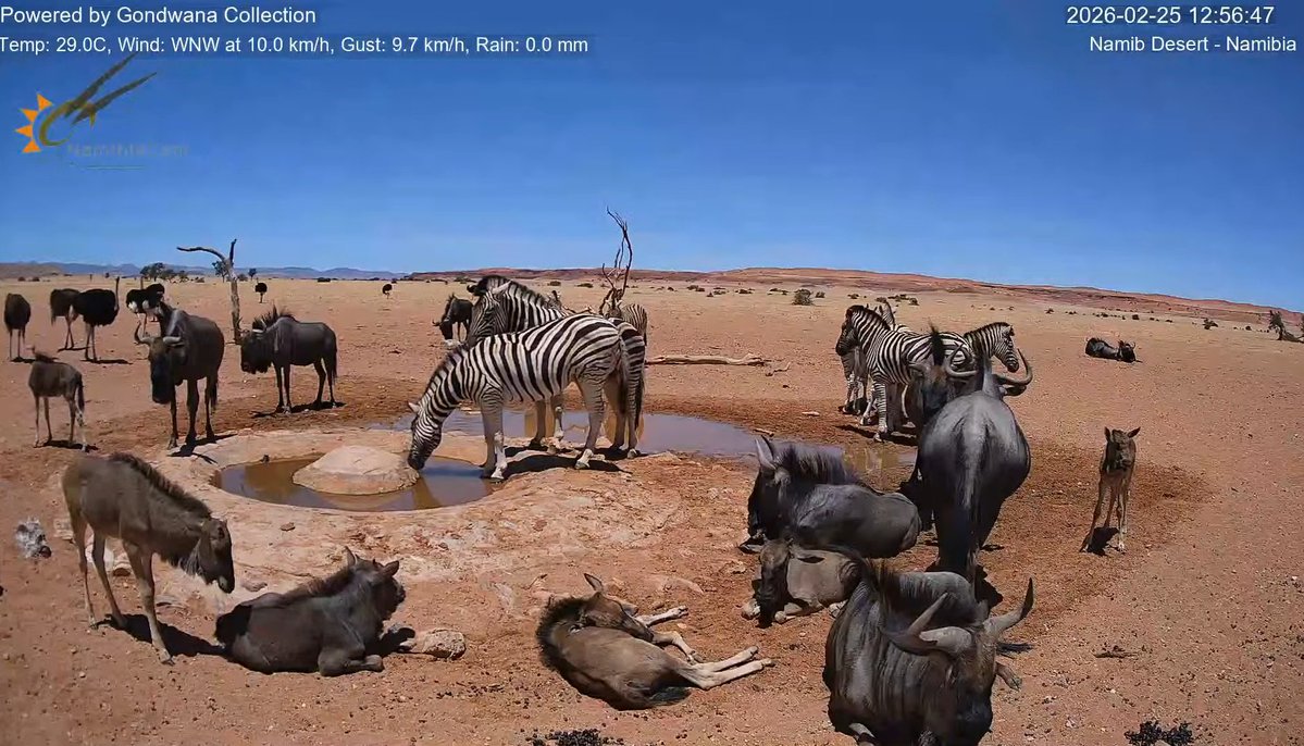 ろ🦕1/25 西2チ18ab (@pppunch666) / Posts / X