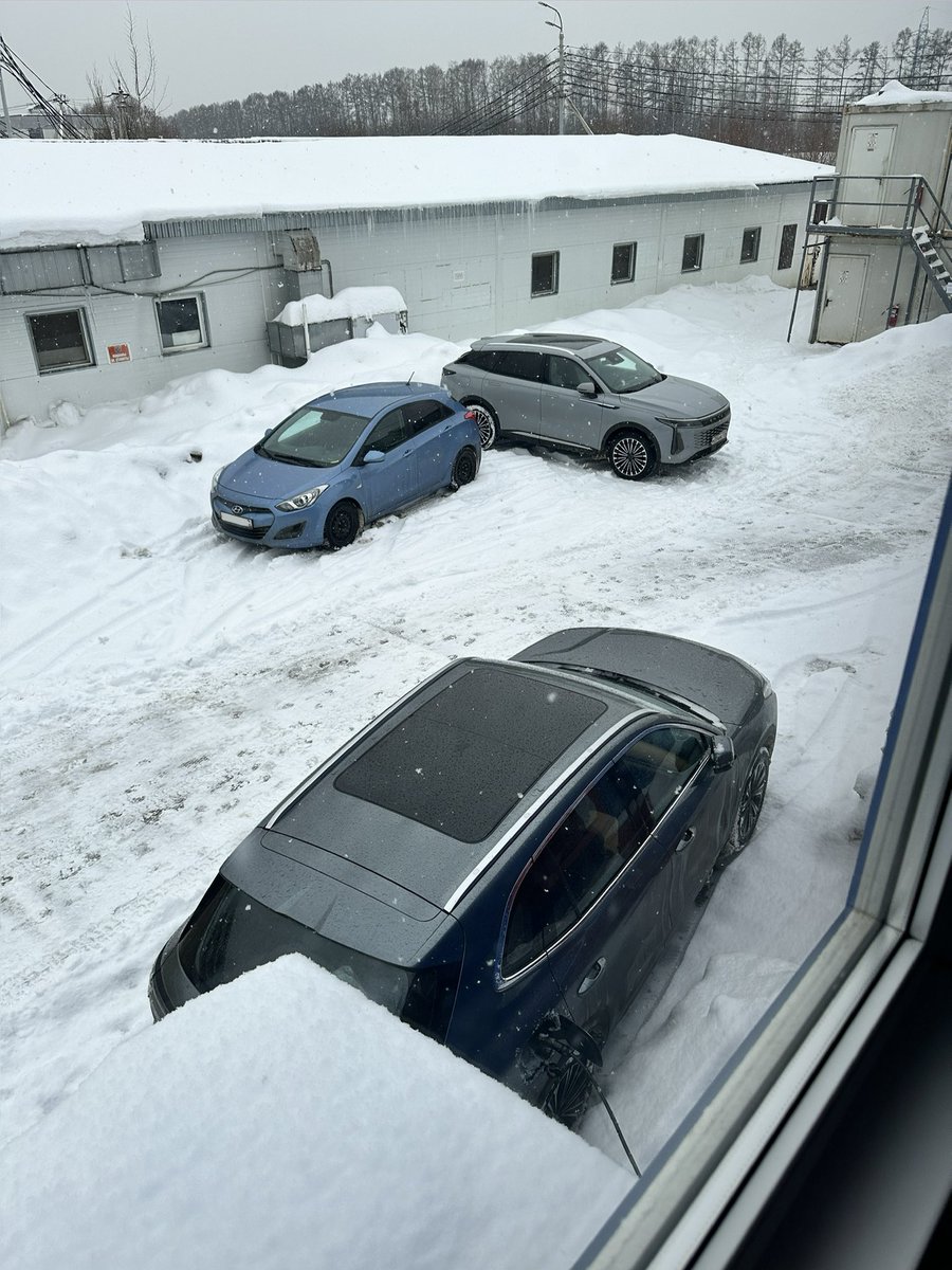 оля игоревна tweet media