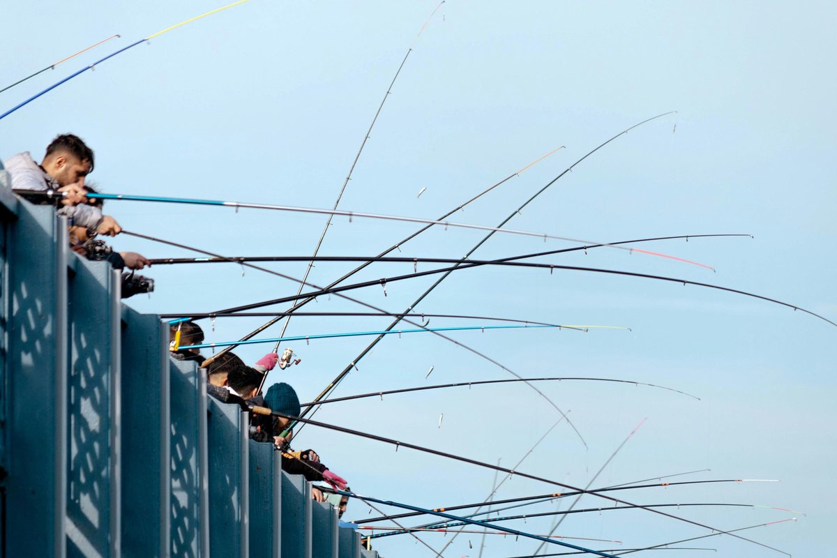 getyourfishon72's tweet image. Fishing on hump day in late February is bliss! 🎣 Join the midweek escape and reel in the fun. #HumpDayFishing #FebruaryFun #MidweekEscape #FishingLife #CatchOfTheDay

getyourfishon.com