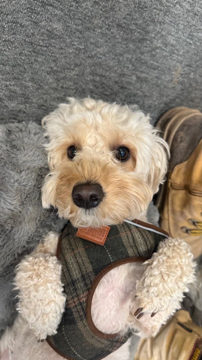 Ben Curry tweet media