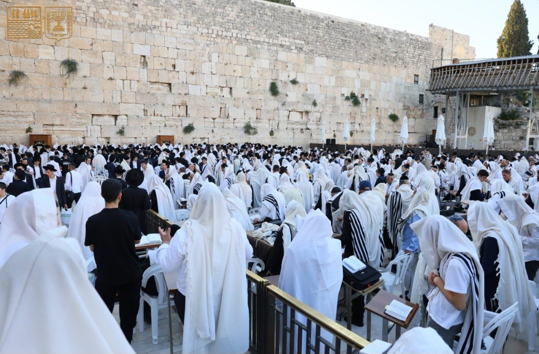 תנועת שס tweet media