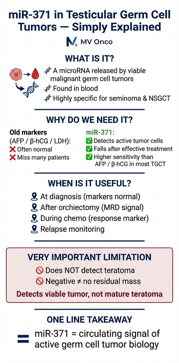 🧬 What if we had a blood test that detects active germ cell tumor cells — even when AFP &amp; β-hCG are normal?
miR-371 is changing how we diagnose and monitor testicular cancer.
But remember: it doesn’t detect teratoma.
#MVOnco #TesticularCancer #Oncology