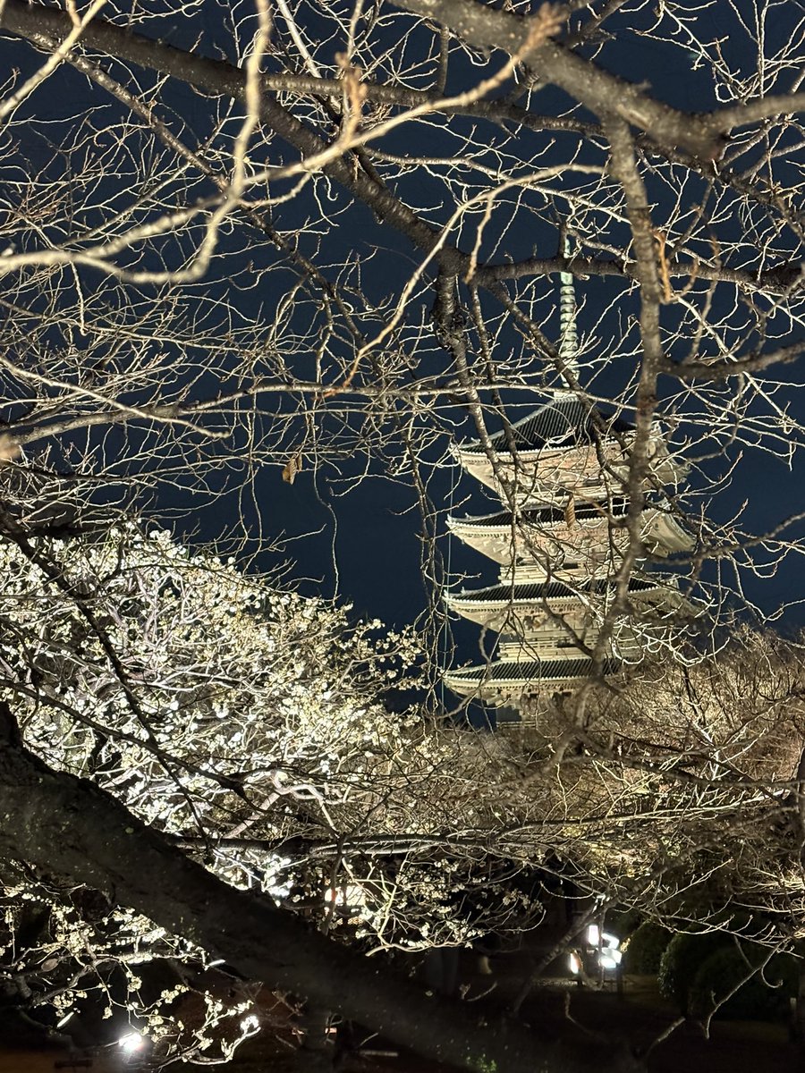 Mockingbird (@bird_5863) on X