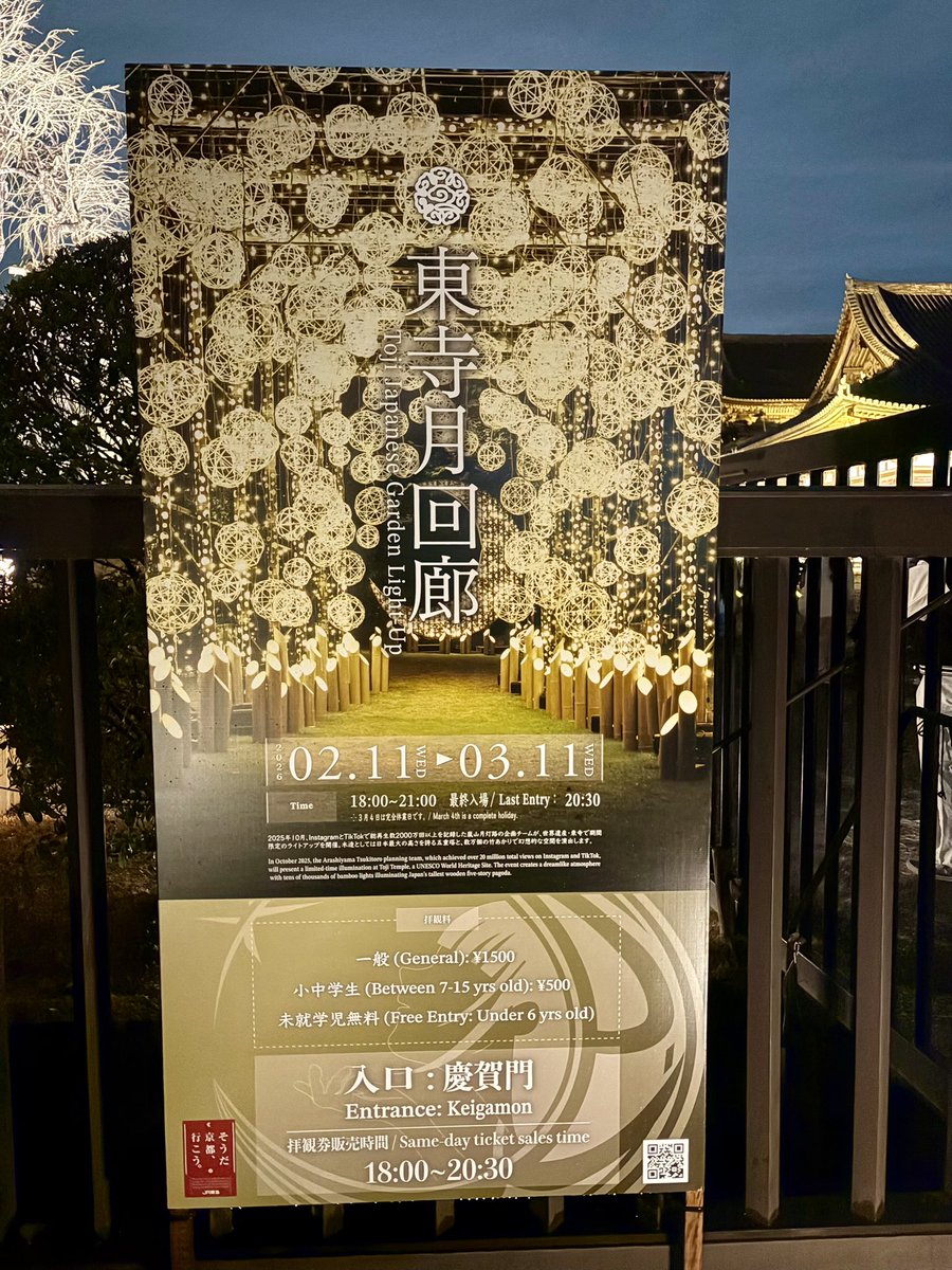 Mockingbird (@bird_5863) on X