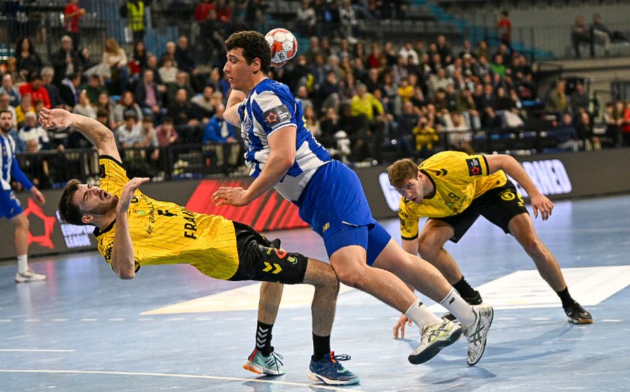 CatHANDBOL tweet media