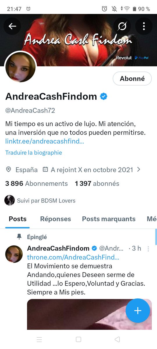 chienne sans maîtresse tweet media