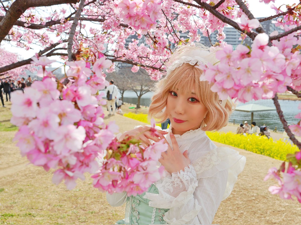 2月も　もうすぐ終わり
先週末はかなり暖かく
早咲きの河津桜の季節になりました

衣桜ぽぷりさん <a href="/isakuran_photo/">衣桜ぽぷり🌸ポトレアカウント📸</a>