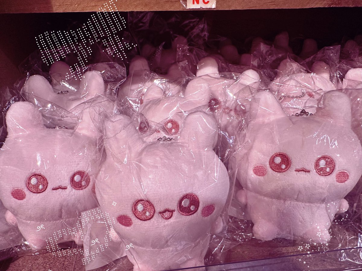 再入荷՞ o̴̶̷ ̫ o̴̶̷ ՞‼️‼️