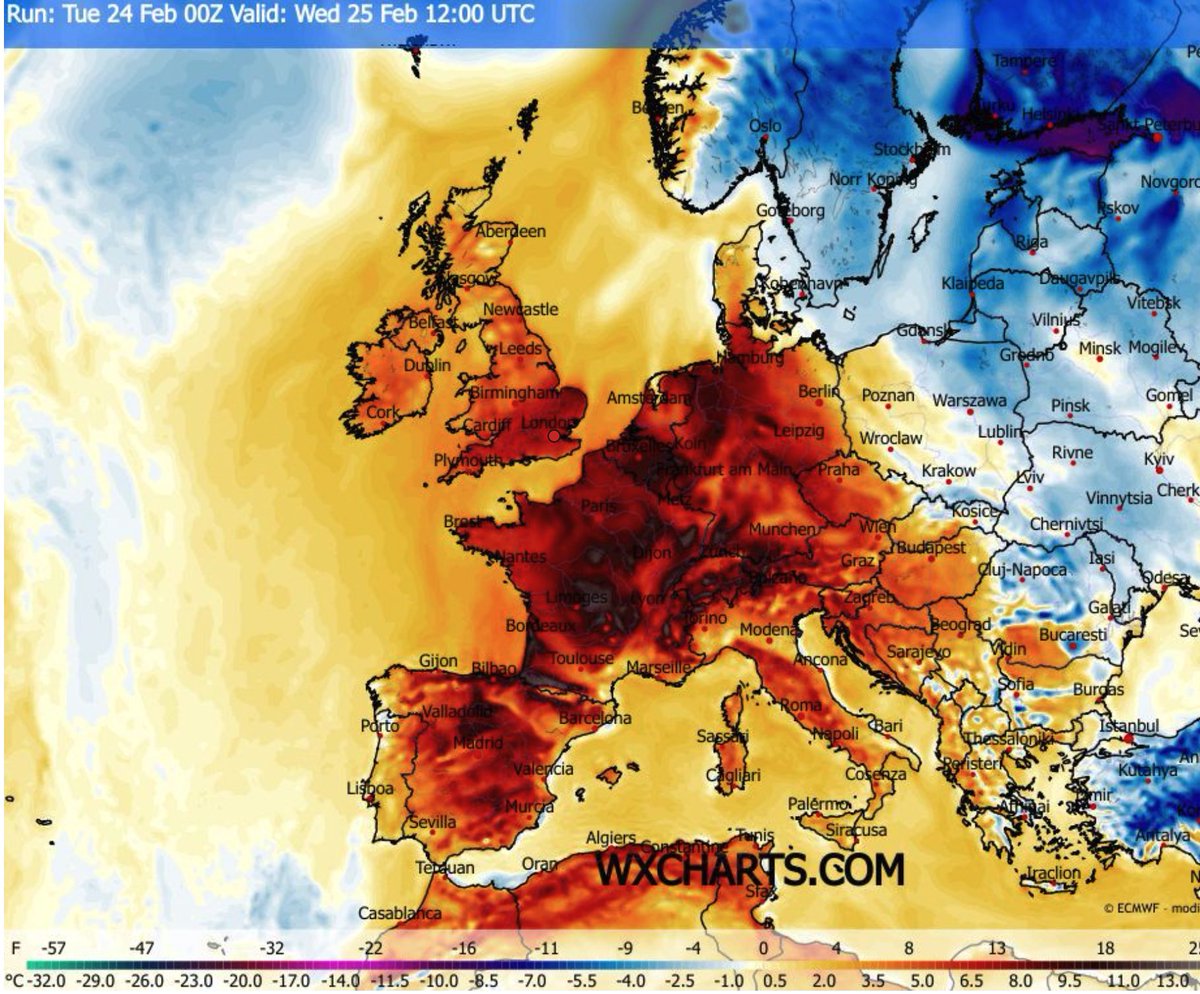 Peter Dynes tweet media