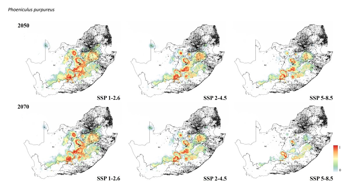 BDJournal tweet media