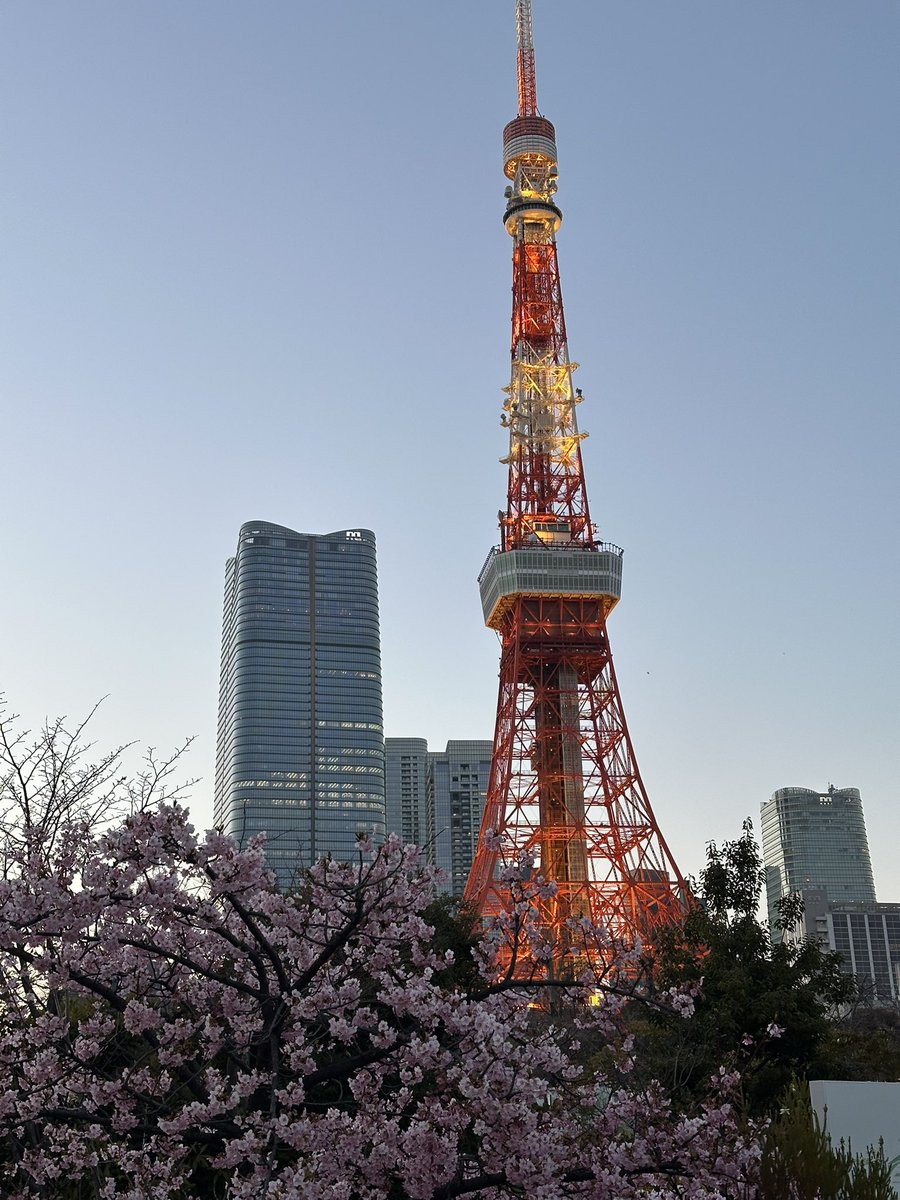 risnc1ax's tweet photo. 東京タワーと河津桜最高の景色だった🗼🌸♡💫 #東京タワー #河津桜 #麻布台ヒルズ #芝公園 #麻布台 https://t.co/FDHfZU9WhP