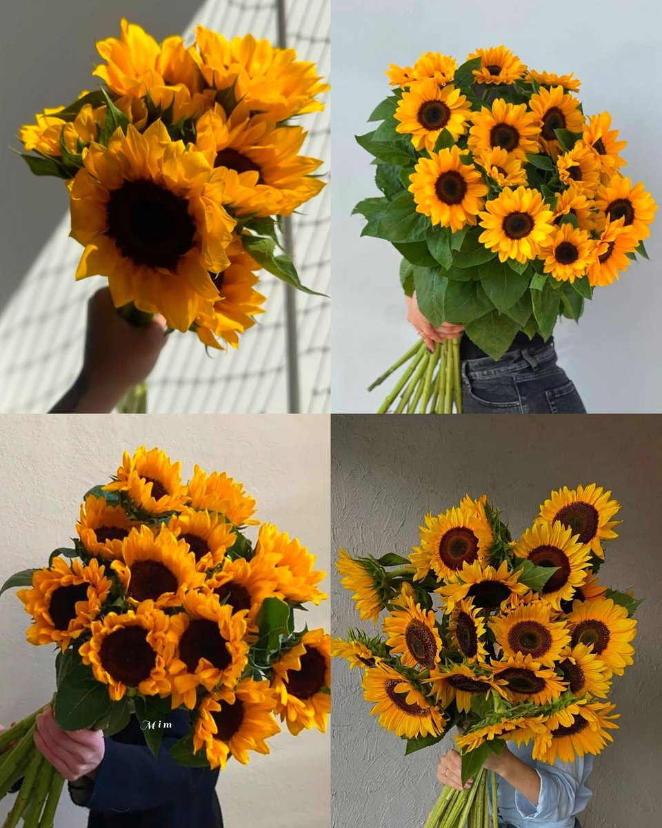 sunflowerchives's tweet photo. bunch of sunflowers🌻 https://t.co/uAdCN7vDPl