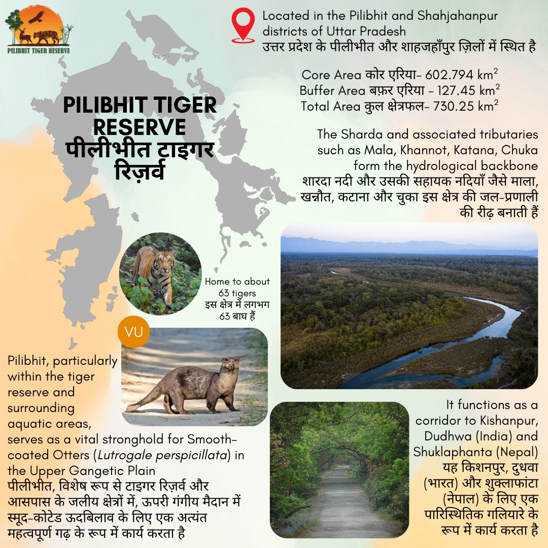 National Tiger Conservation Authority tweet media