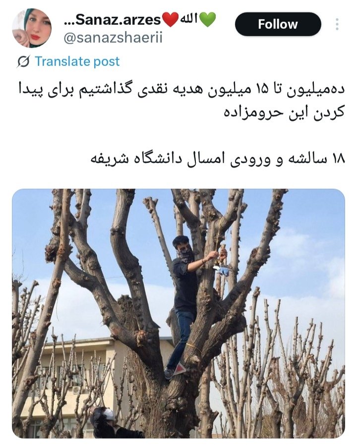 نوشته بود:
هزاران جوان اعدام و کشته شدند، نفهمید
یک عروسک موش اعدام شد، فهمید
پس در راه منافعش، میفهمد

قشنگ بود :)