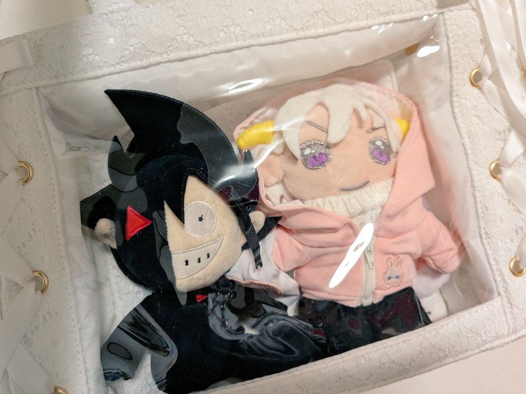 人生で初めて痛バというものを買いましたが20センチぬいが2体入るし