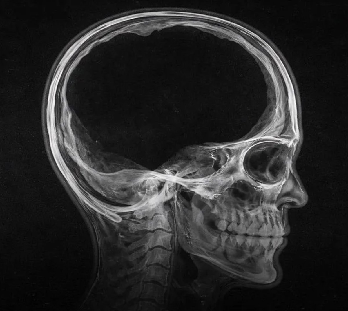 primordial intelligence tweet media