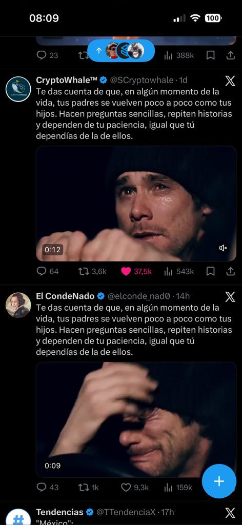 Felipocha tweet media